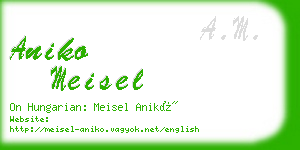 aniko meisel business card